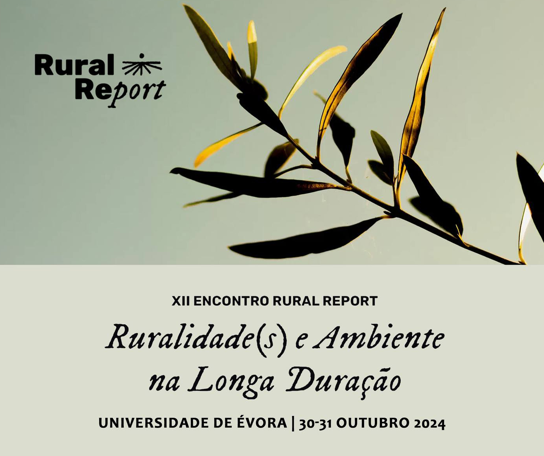 capa-rural-report
