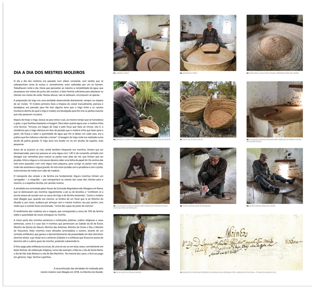 moinhos-5