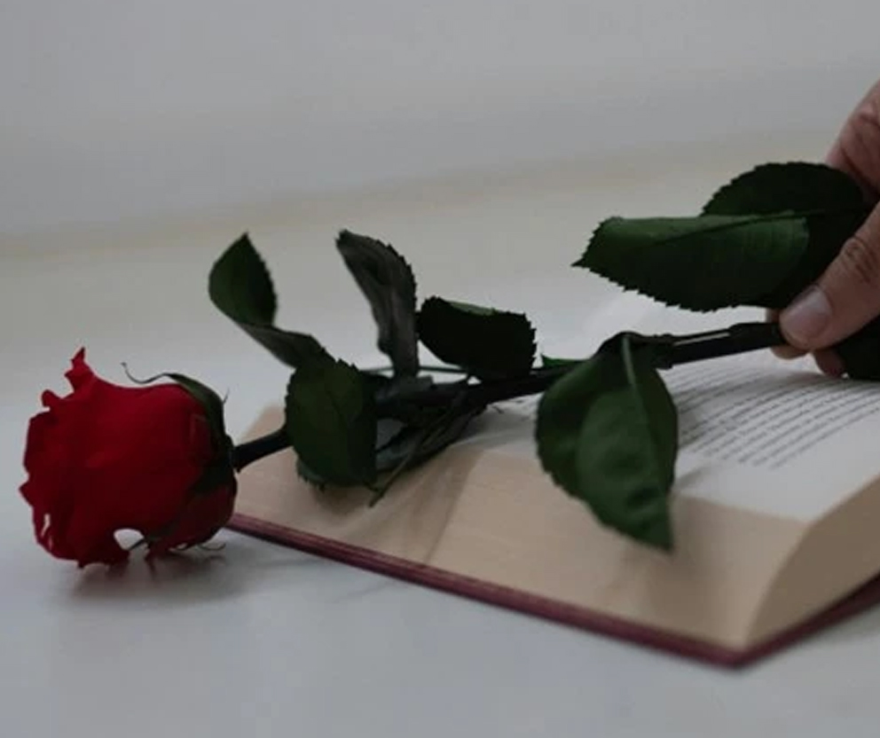 Seminário “1925-2025 Panorâmica da literatura catalã”