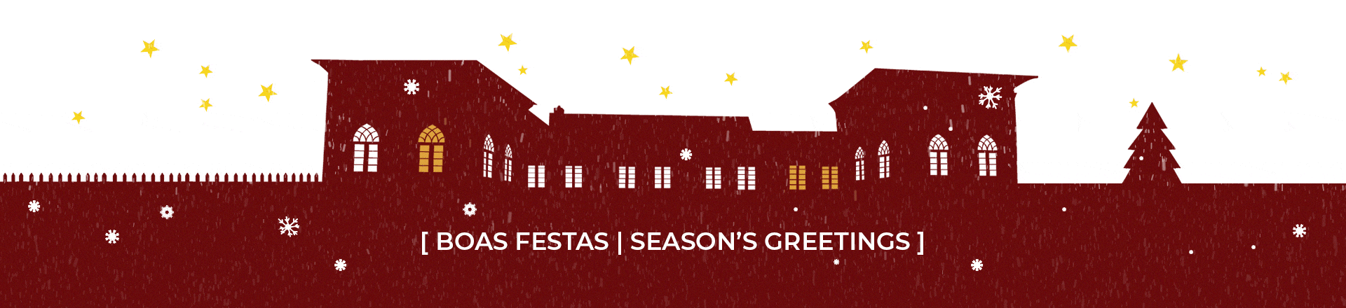 boas festas newsletter 2