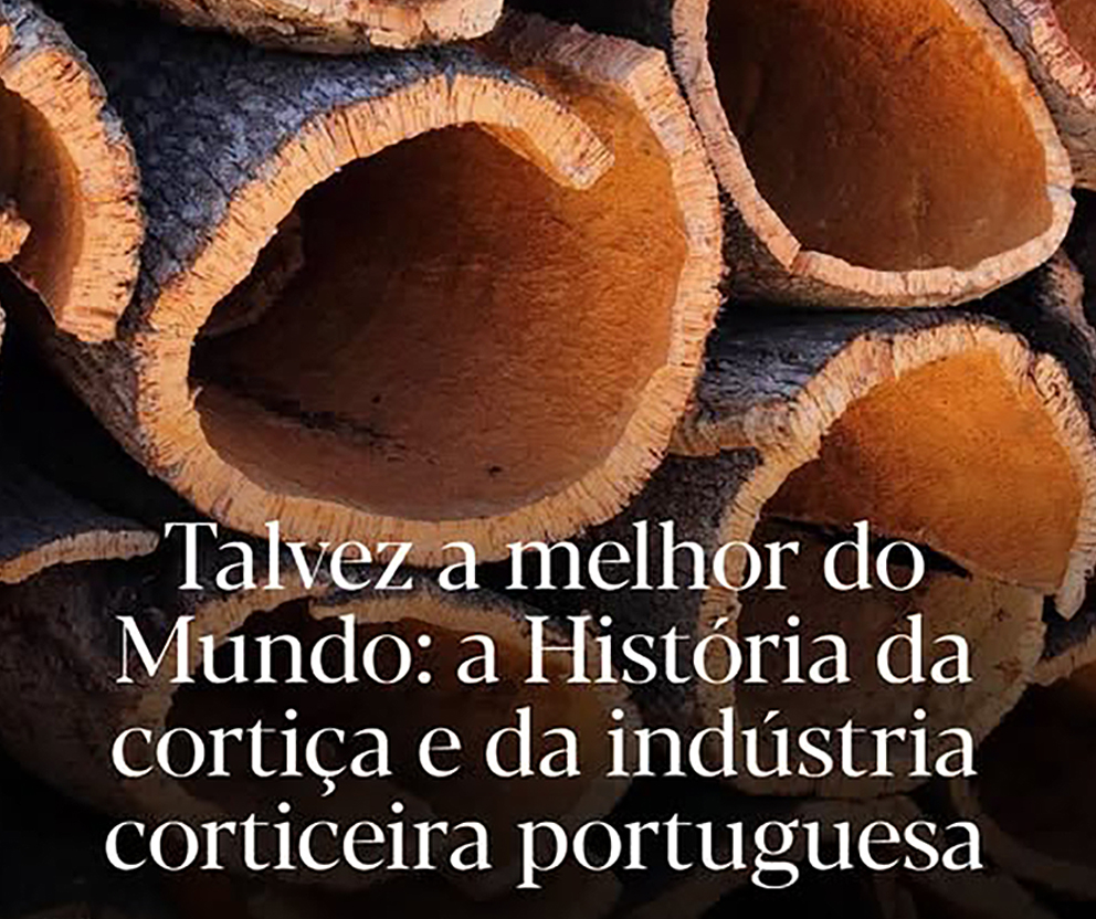 capa-cortica-faisca